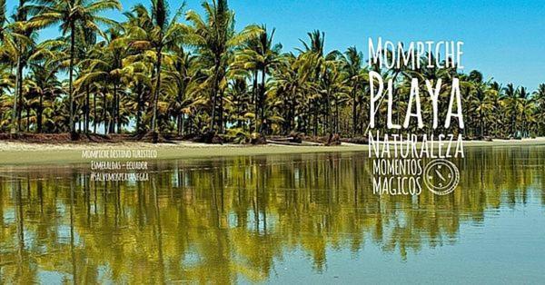 Seaside Garden Ecolodge مومبيش المظهر الخارجي الصورة