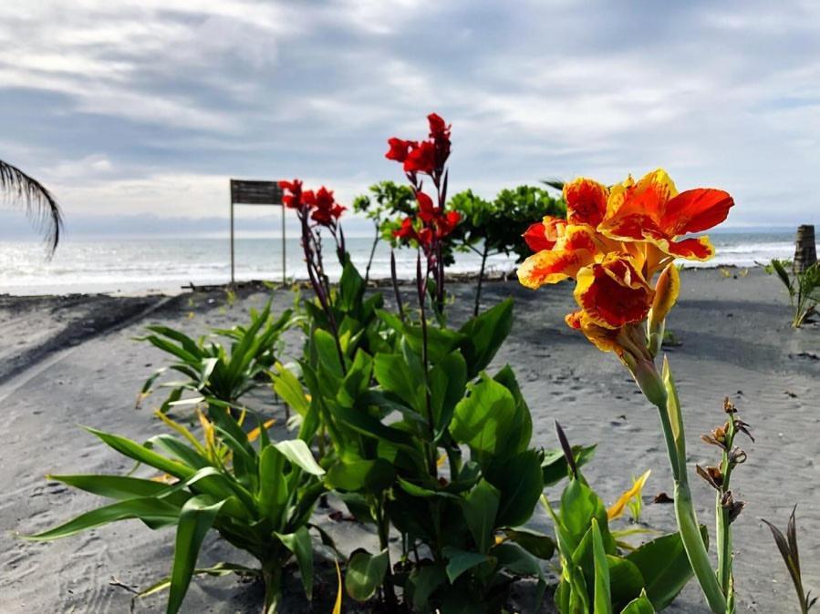 Seaside Garden Ecolodge مومبيش المظهر الخارجي الصورة