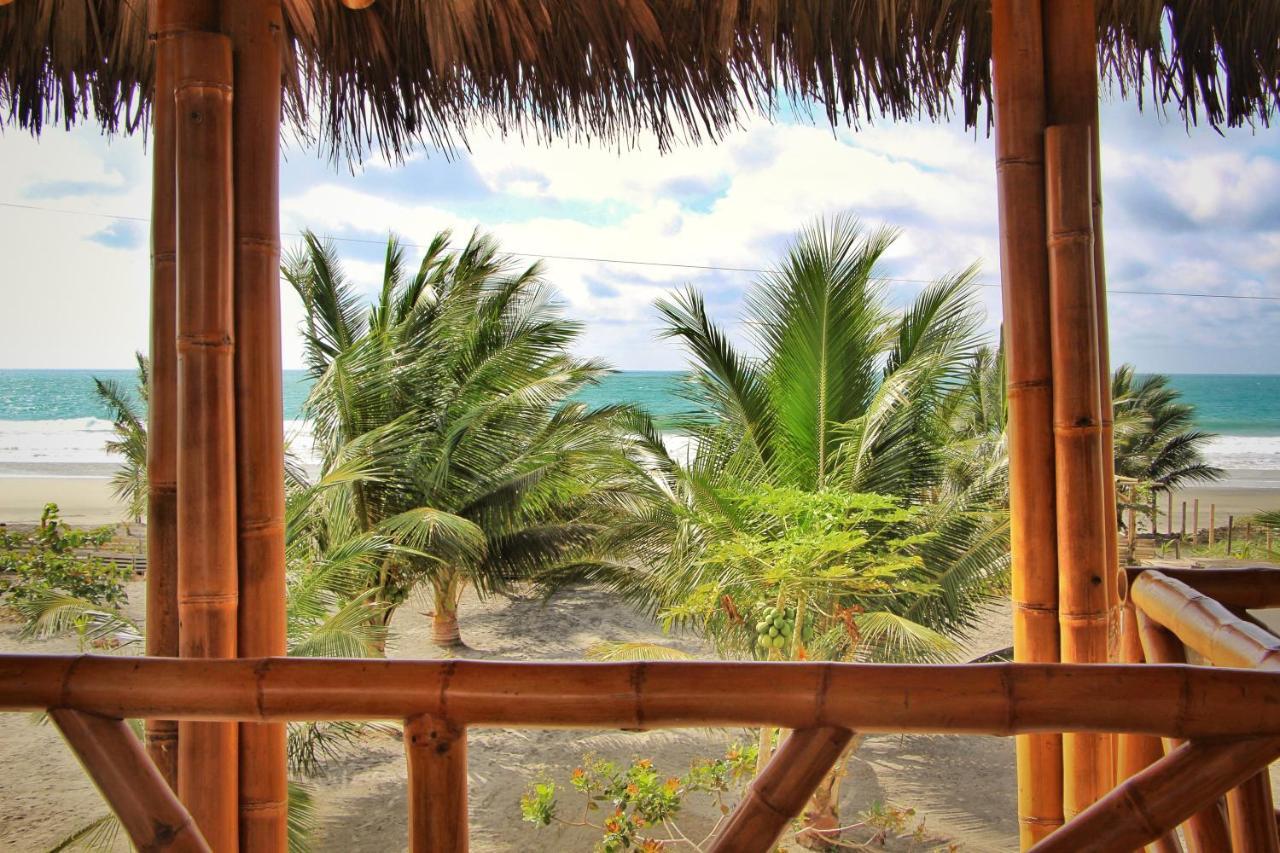 Seaside Garden Ecolodge مومبيش المظهر الخارجي الصورة